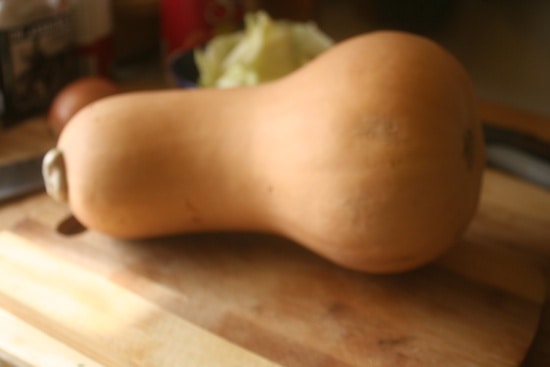 550-butternut-squash 048