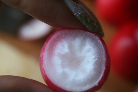 radishes-in-salad 017