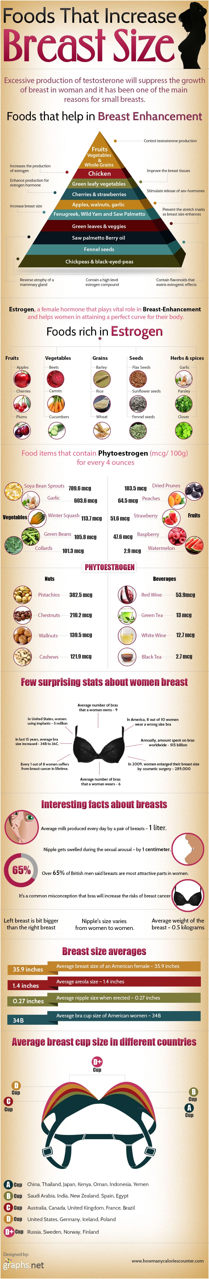 Infographic] Average Breast Cup Size In The World