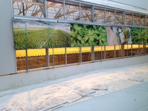 the top of the roof, with the farm, whole foods gowanus, brooklyn