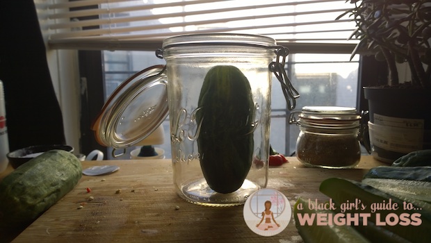 bgg2wl-sour-dill-pickles-222